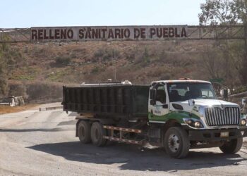 Rescatarán a 50 perros de Chiltepeque