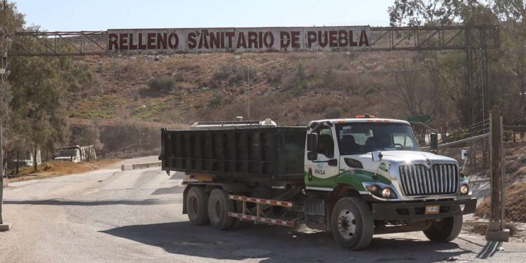 Rescatarán a 50 perros de Chiltepeque