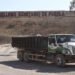Rescatarán a 50 perros de Chiltepeque