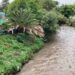Descargas tóxicas agravan situación del río Atoyac