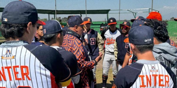 Halcones hará Try Out masivo