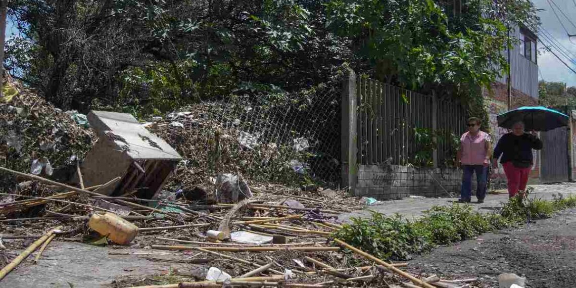 Este año, el más lluvioso desde 1999, pronostican