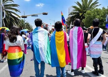 Acatarán fallo de la Corte en infancias trans