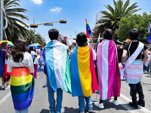 Acatarán fallo de la Corte en infancias trans