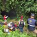 Mantienen búsqueda de turistas en gruta