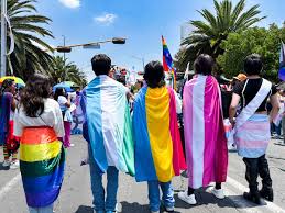 “Ley de Infancias Trans no incluye cirugías”